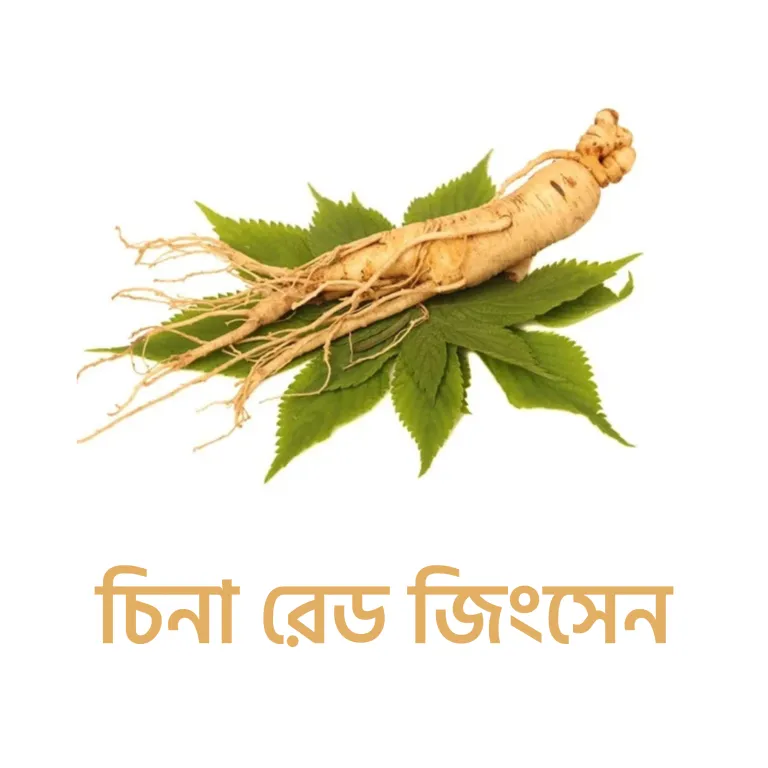 চিনা রেড জিংসেন