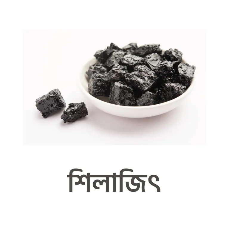 শিলাজিৎ